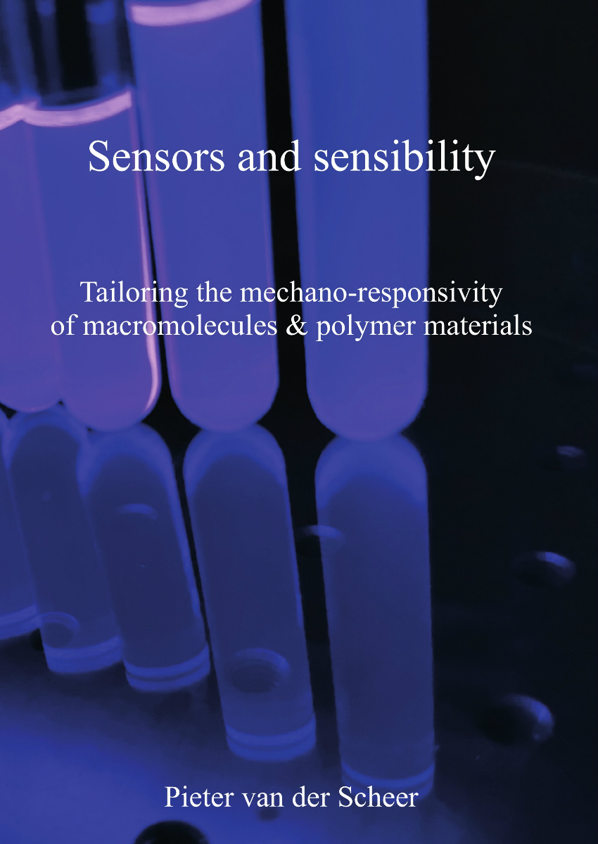 Pieter Van Der Scheer