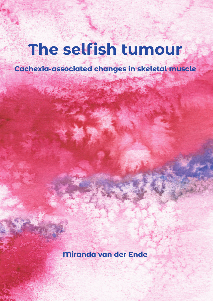 Miranda Van Der Ende