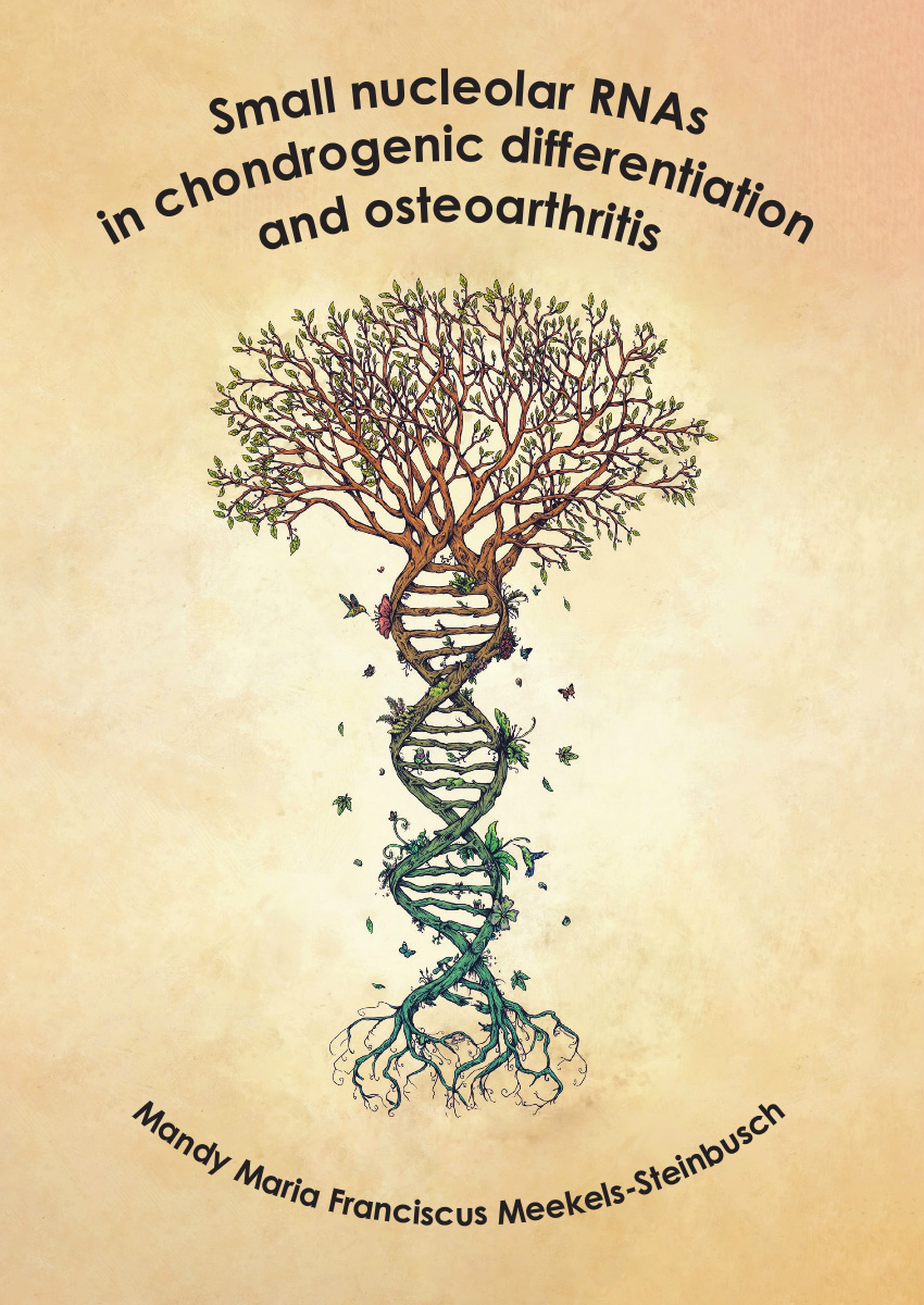 Mandy Meekels Steinbusch