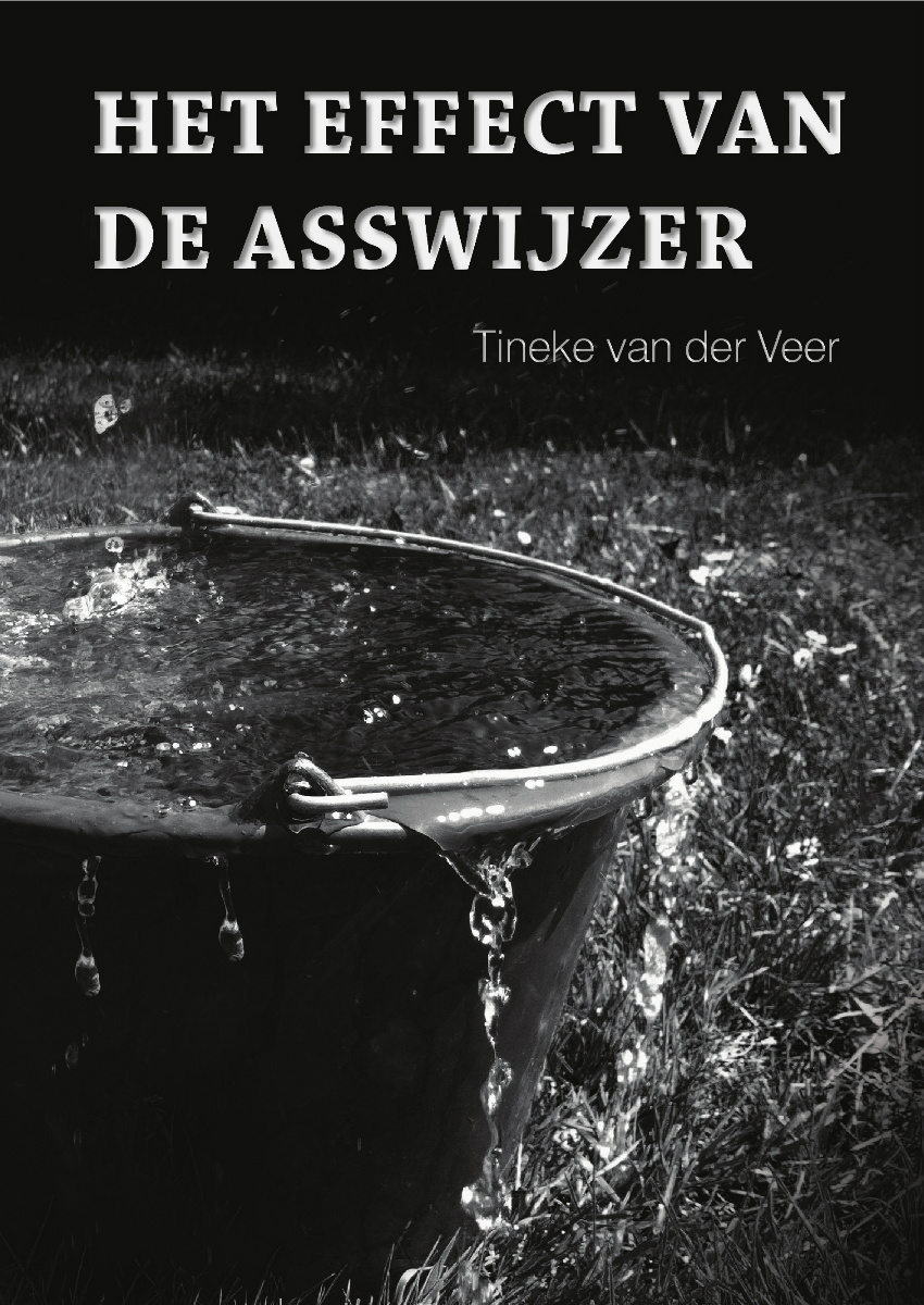 Tineke Van Der Veer