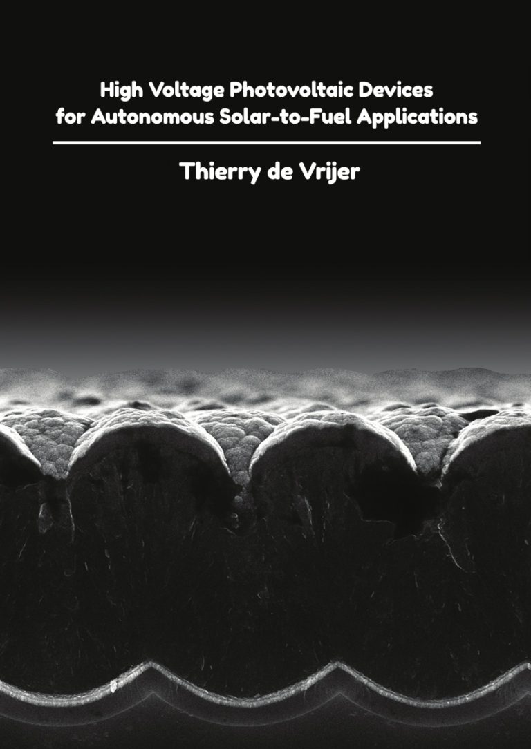 Thierry De Vrijer