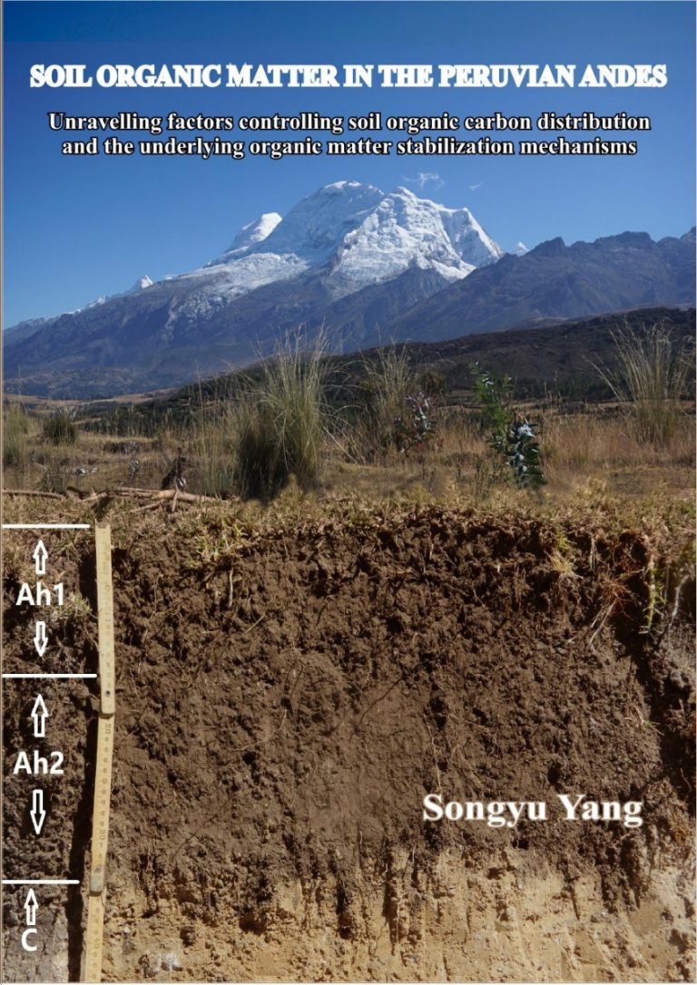 Yang, S.