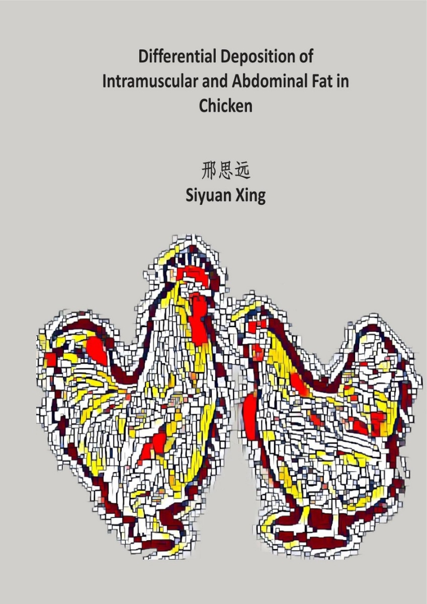 Siyuan Xing
