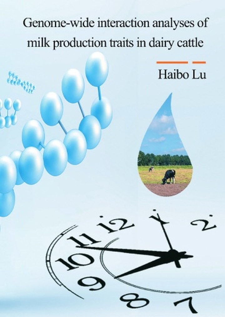 Haibo Lu
