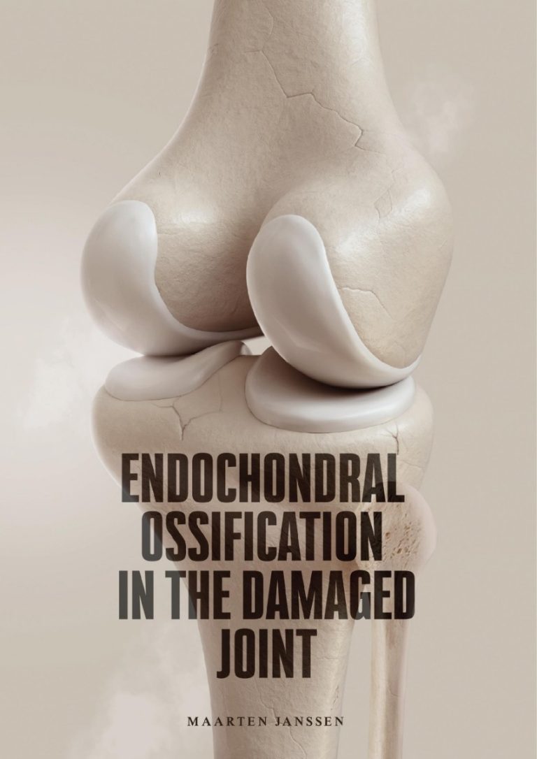 Maarten Janssen