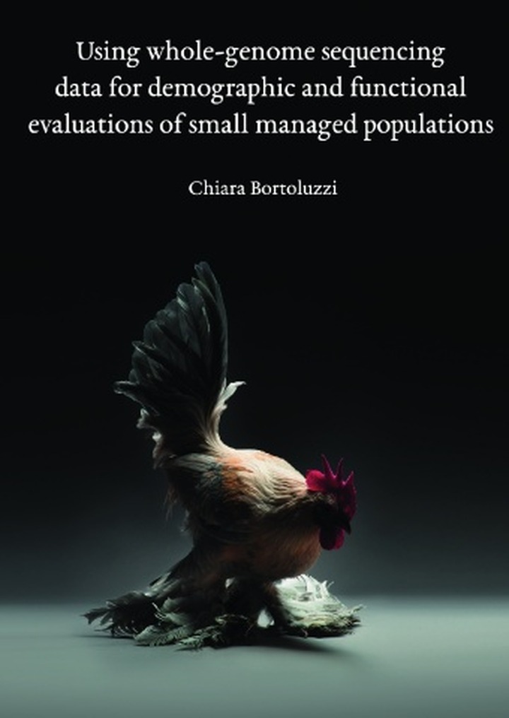 Chiara Bortoluzzi