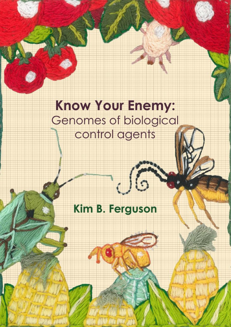 Kim Ferguson
