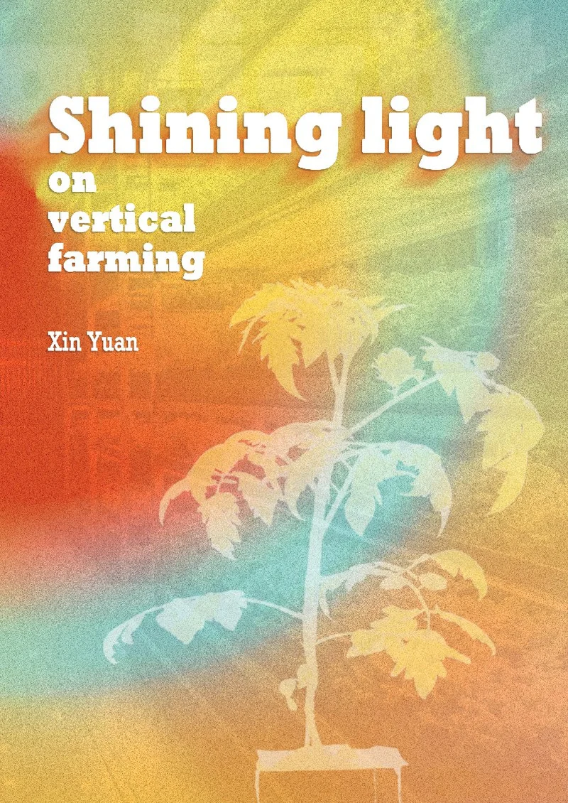 xin yuan